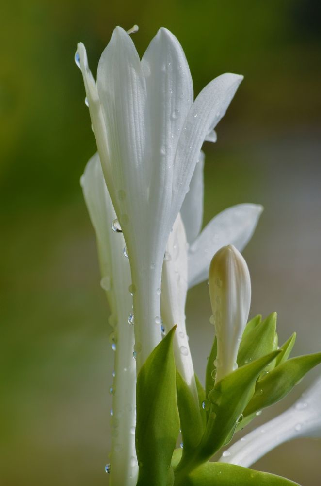 Photograph by Наталья Иванова