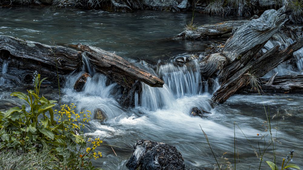 Photograph by Лазурченко Анастасия