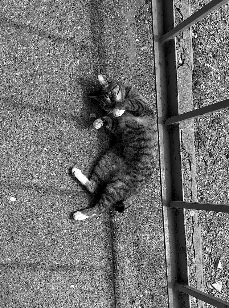 Photograph by Kirill E.