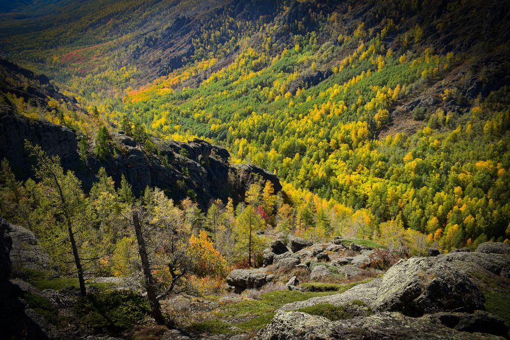 Photograph by Татьяна Хорошун