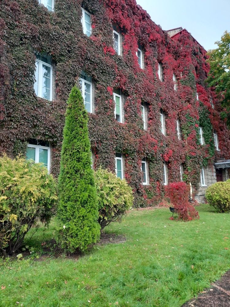 Photograph by Ириша Гайдель