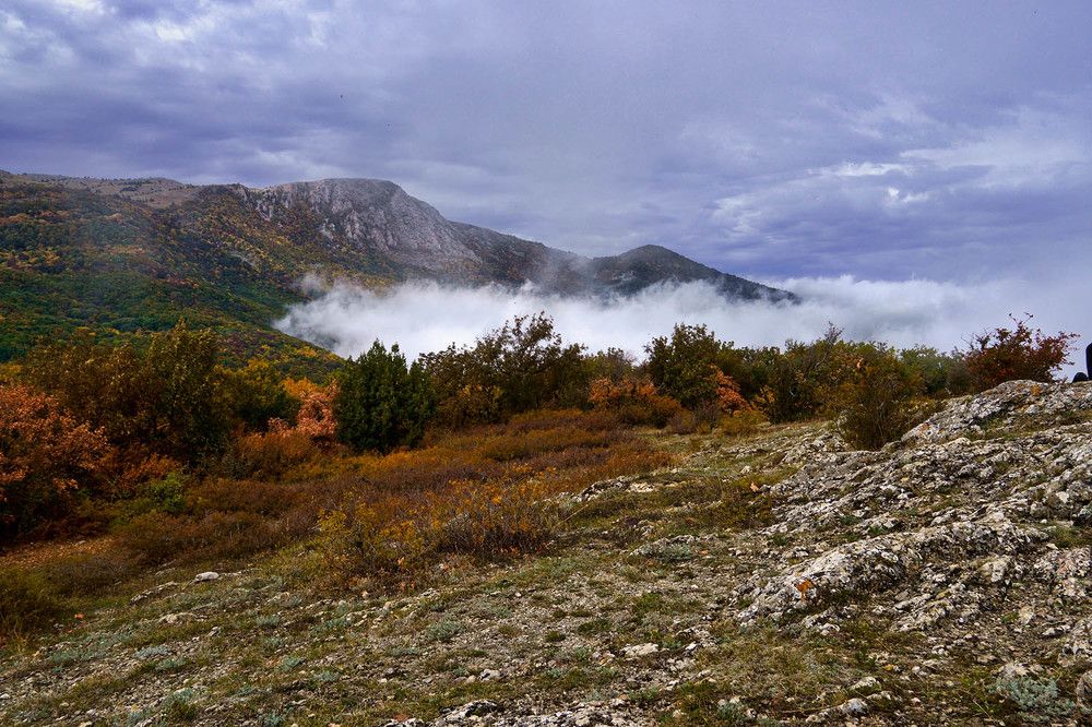 Photograph by Михаил Баевский