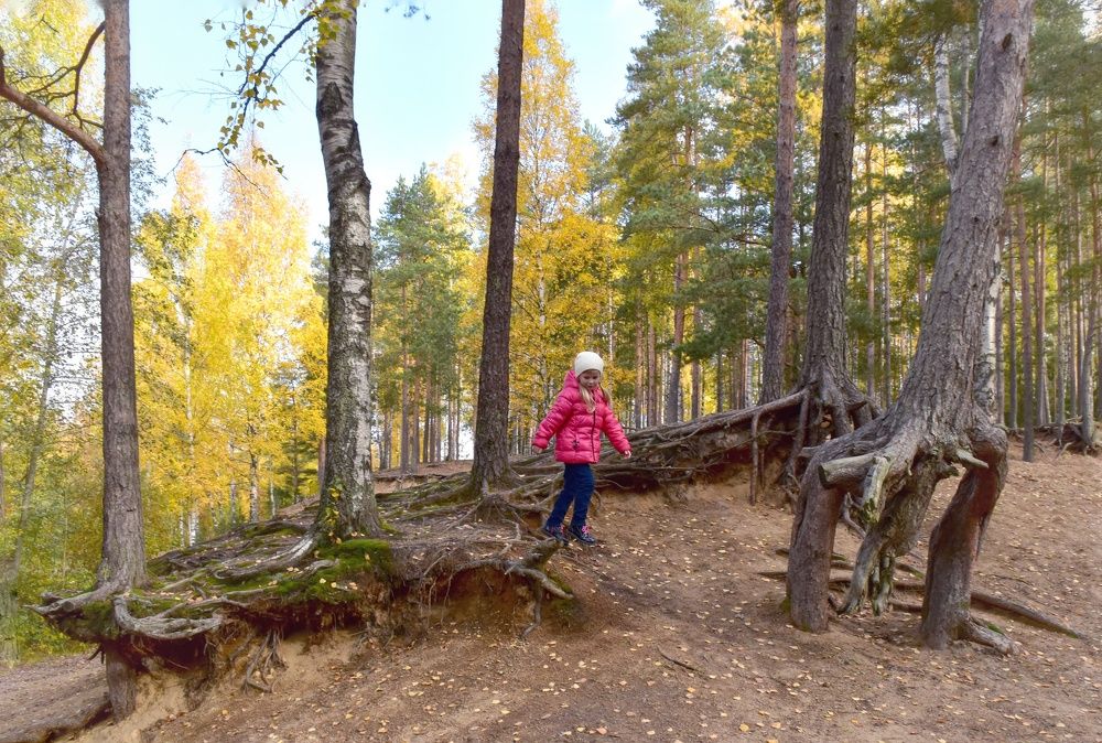 Photograph by Елена Павлова