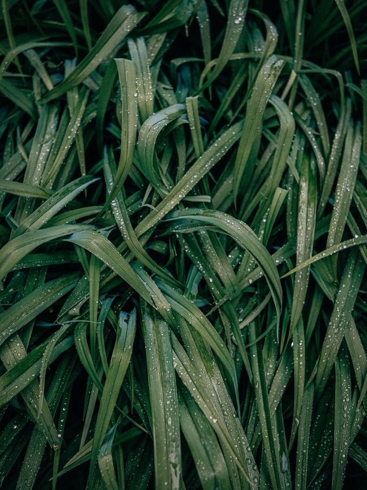 Photograph by Надежда Раскина