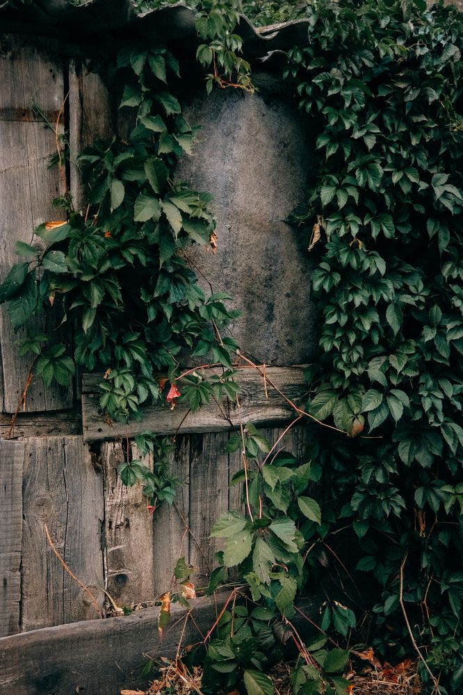 Photograph by Надежда Раскина