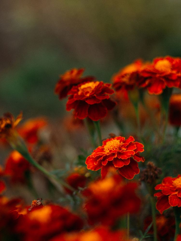 Photograph by Надежда Раскина