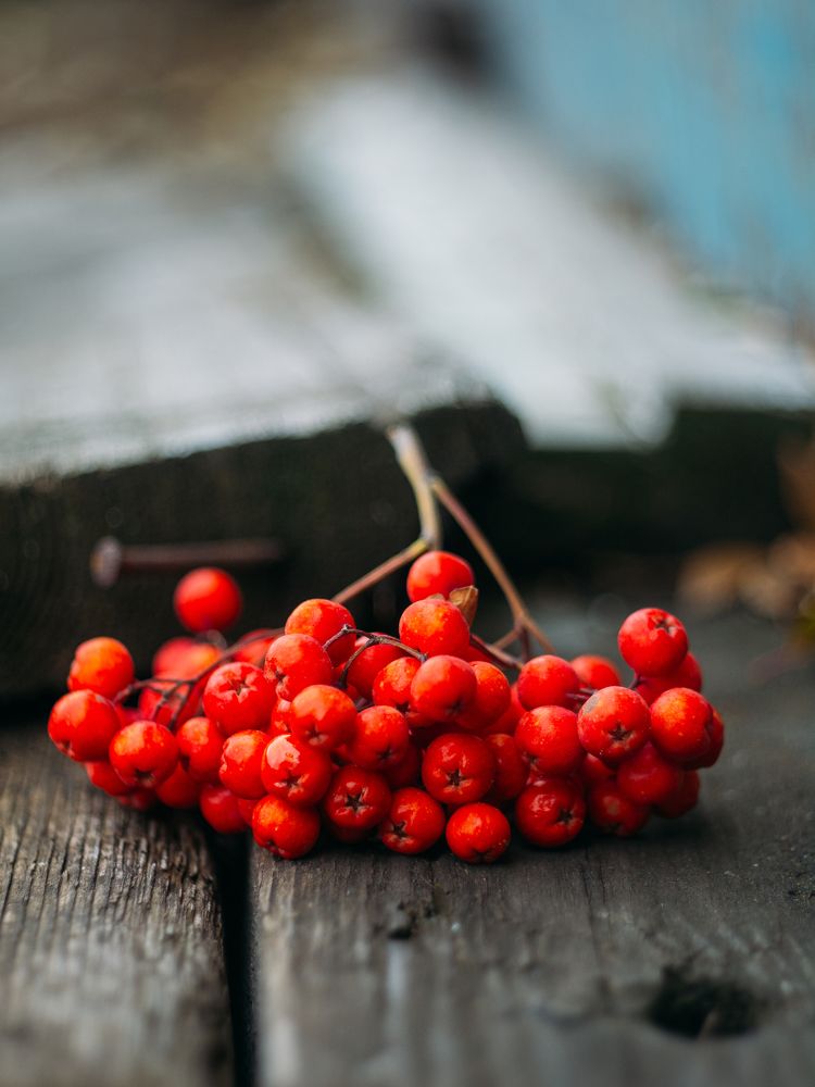 Photograph by Надежда Раскина