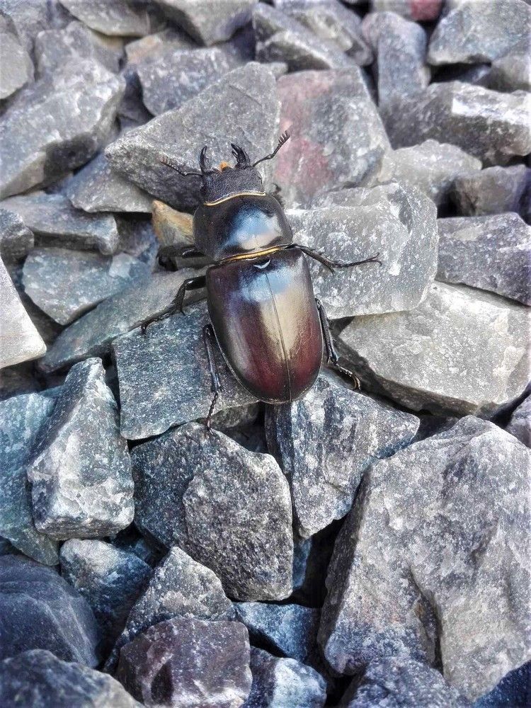 Photograph by Наталья Галай