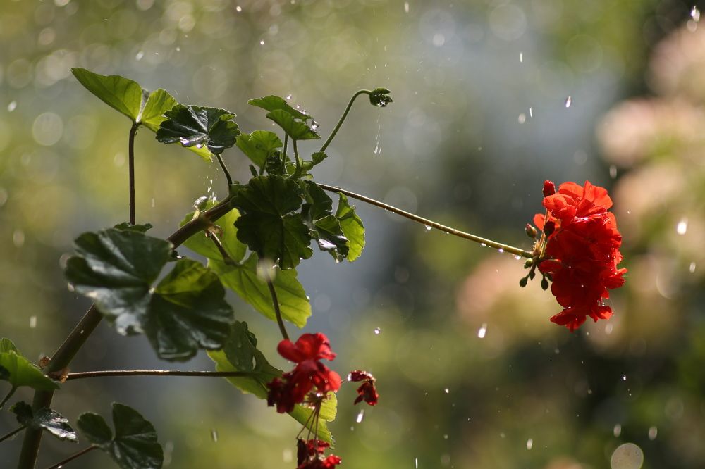 Photograph by Светлана Богомолова