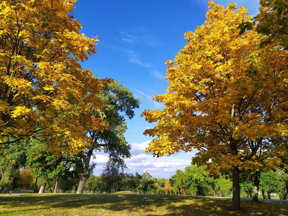 Photograph by Людмила Муравьева