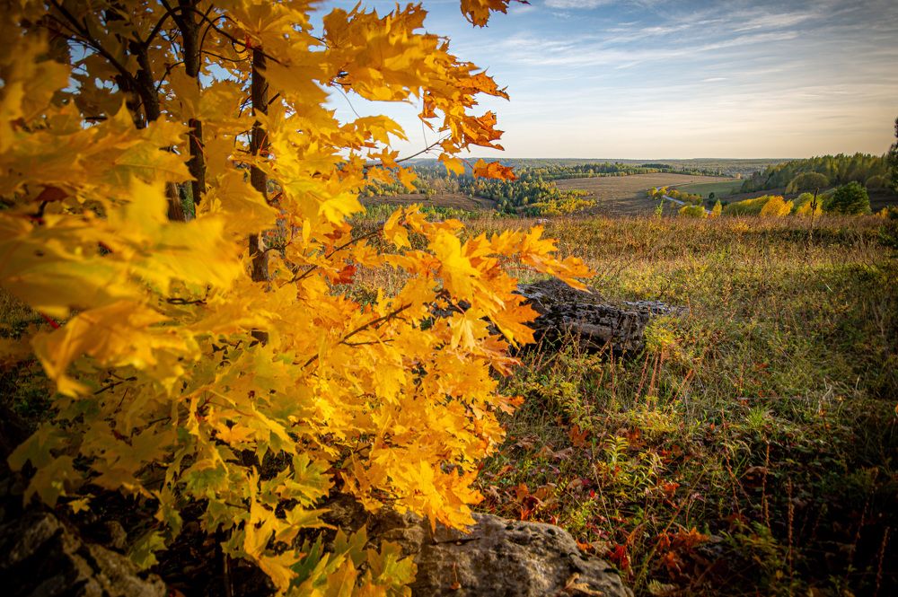 Photograph by Сергей Забиякин