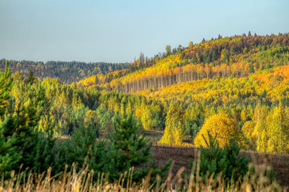 Photograph by Сергей Забиякин