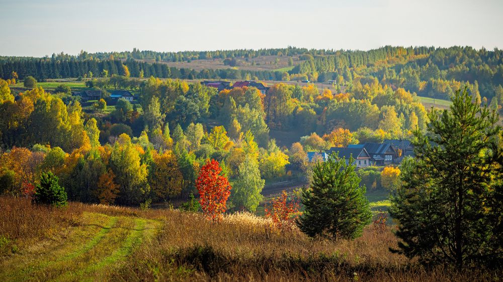 Photograph by Сергей Забиякин