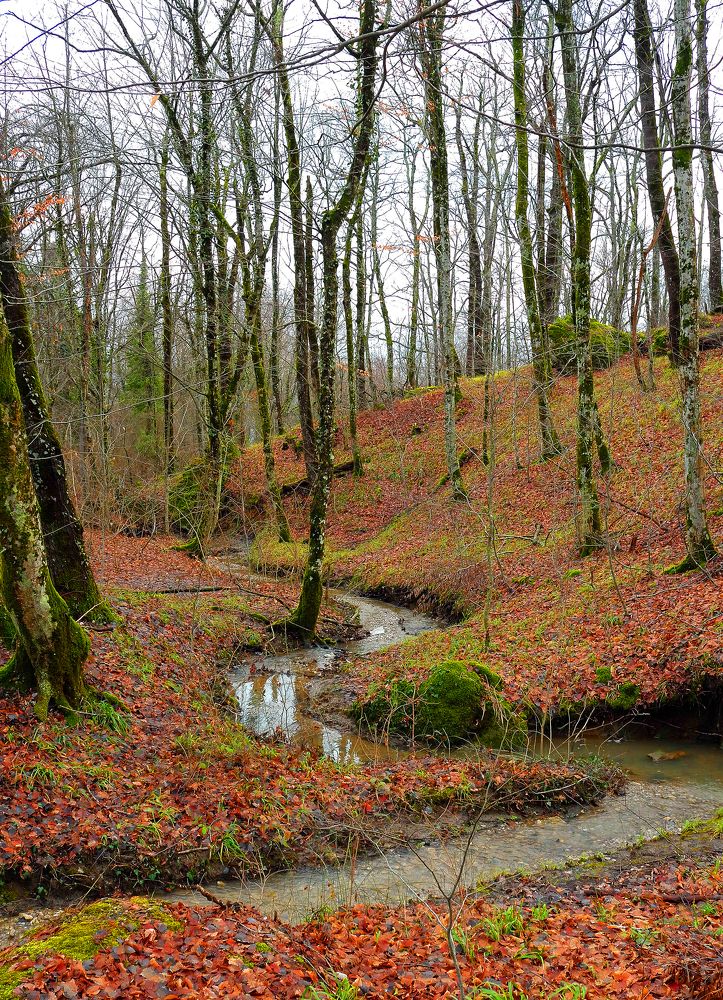 Фотография автора Сергей Гречихин