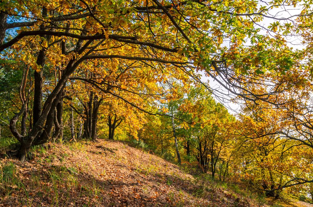 Photograph by Евгений Глазунов