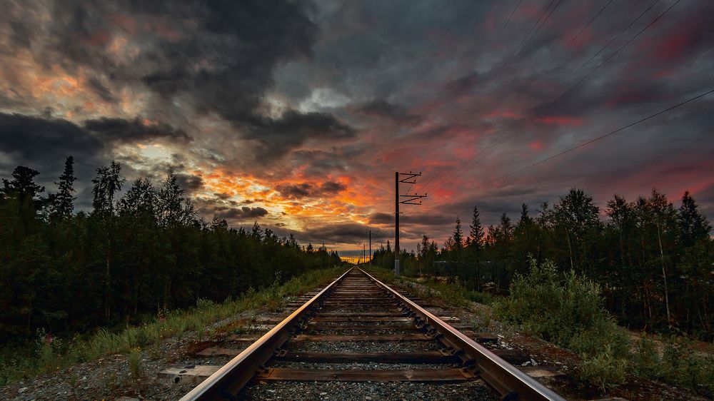 Photograph by Александр Слепцов