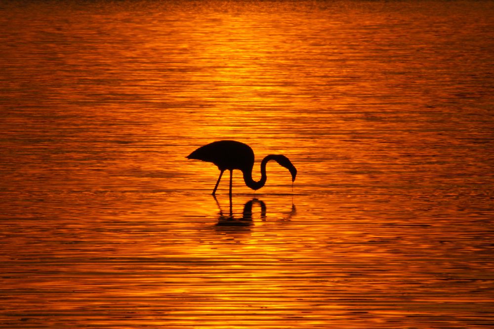 Photograph by Елизавета