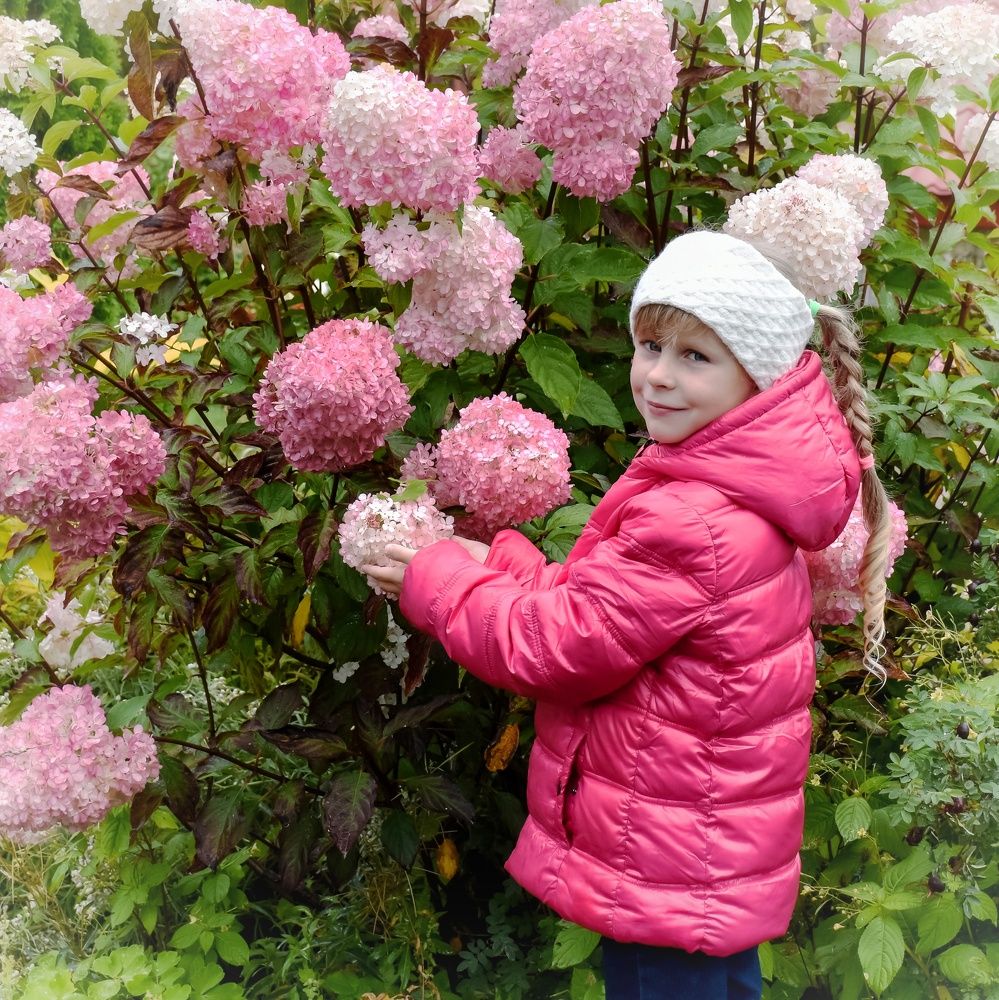 Photograph by Елена Павлова