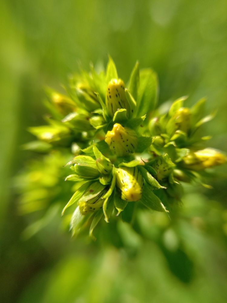 Photograph by Снежана Шепель