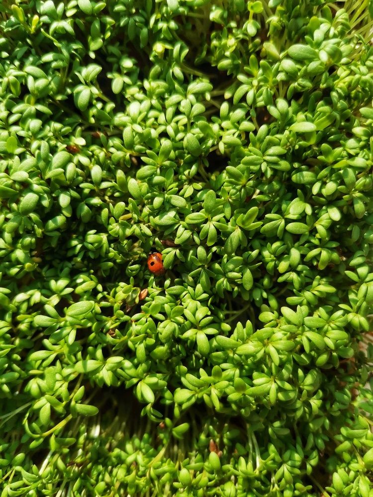 Photograph by Татьяна Антипова