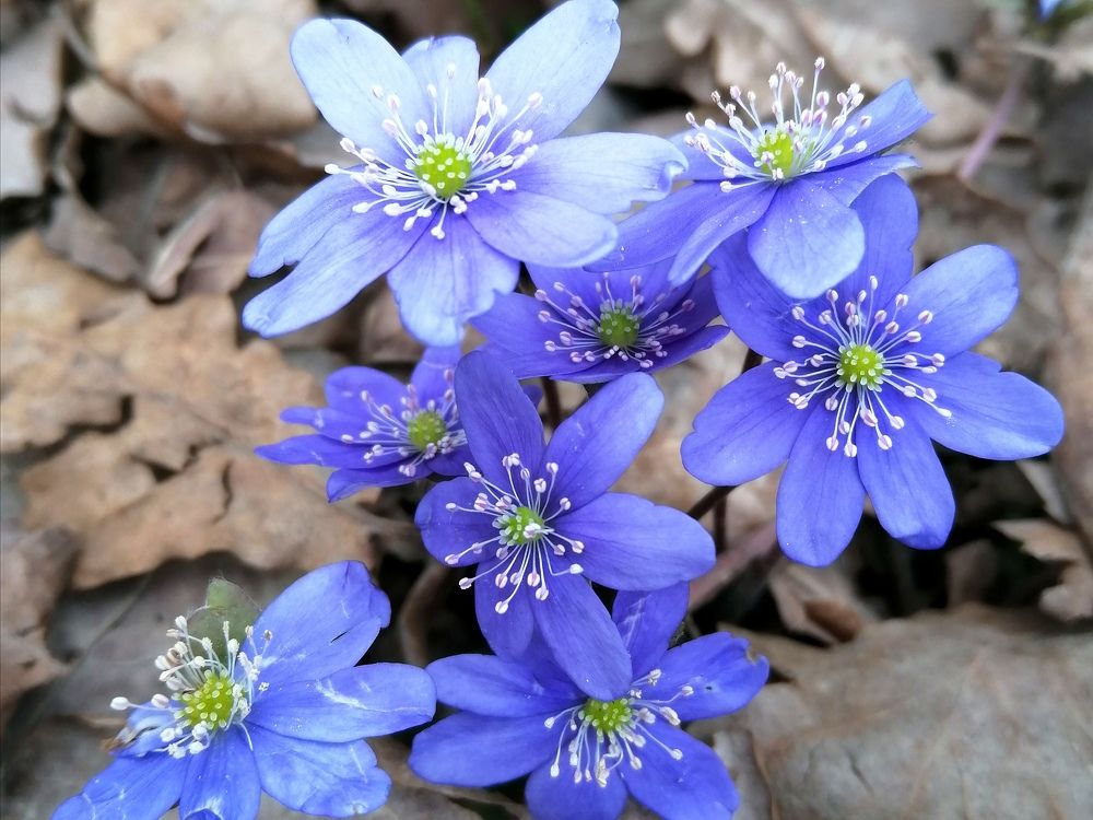 Photograph by Светлана Веселовская