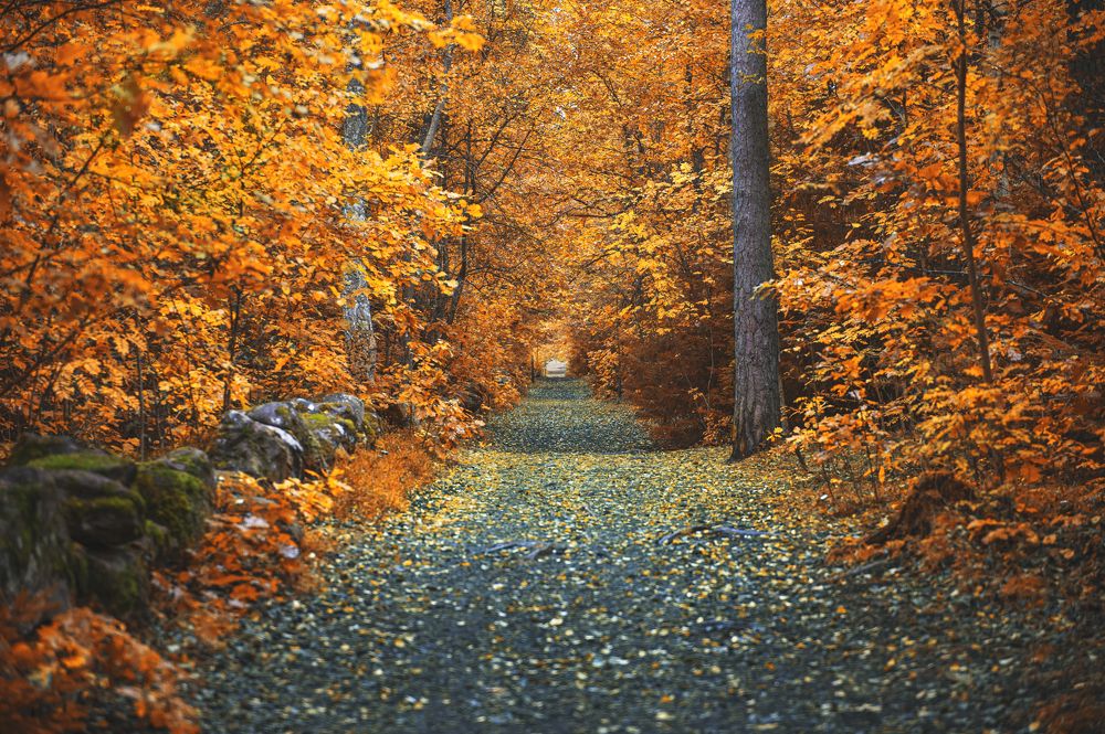 Photograph by Linda Persson