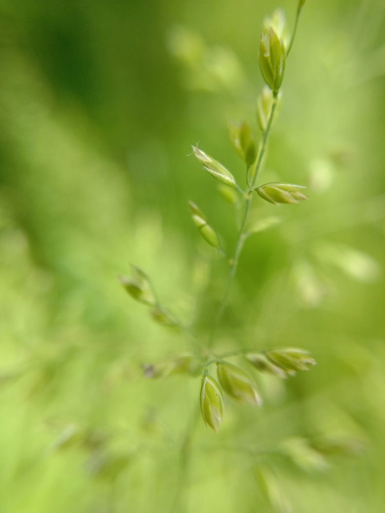 Photograph by Снежана Шепель