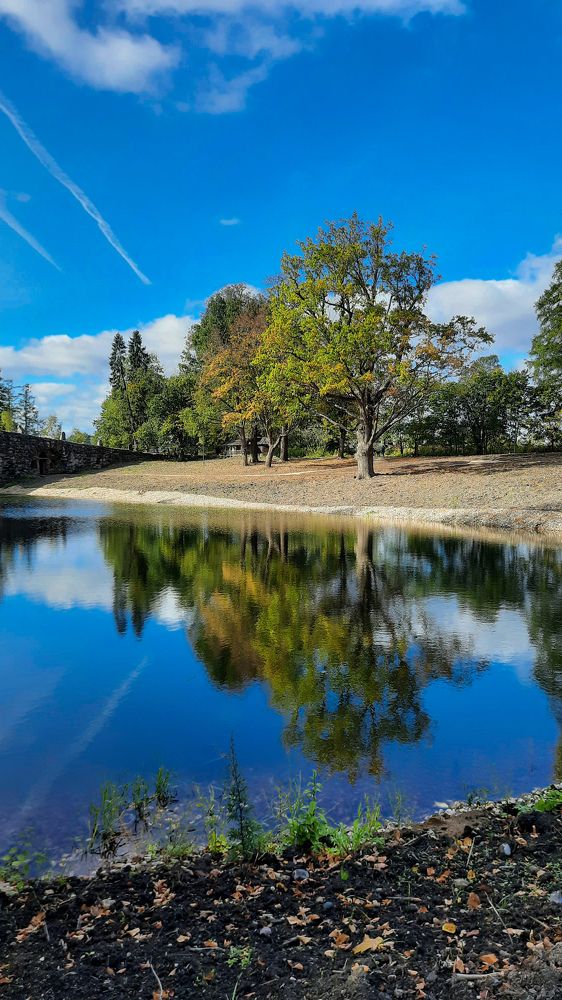 Photograph by Ольга Новоселова