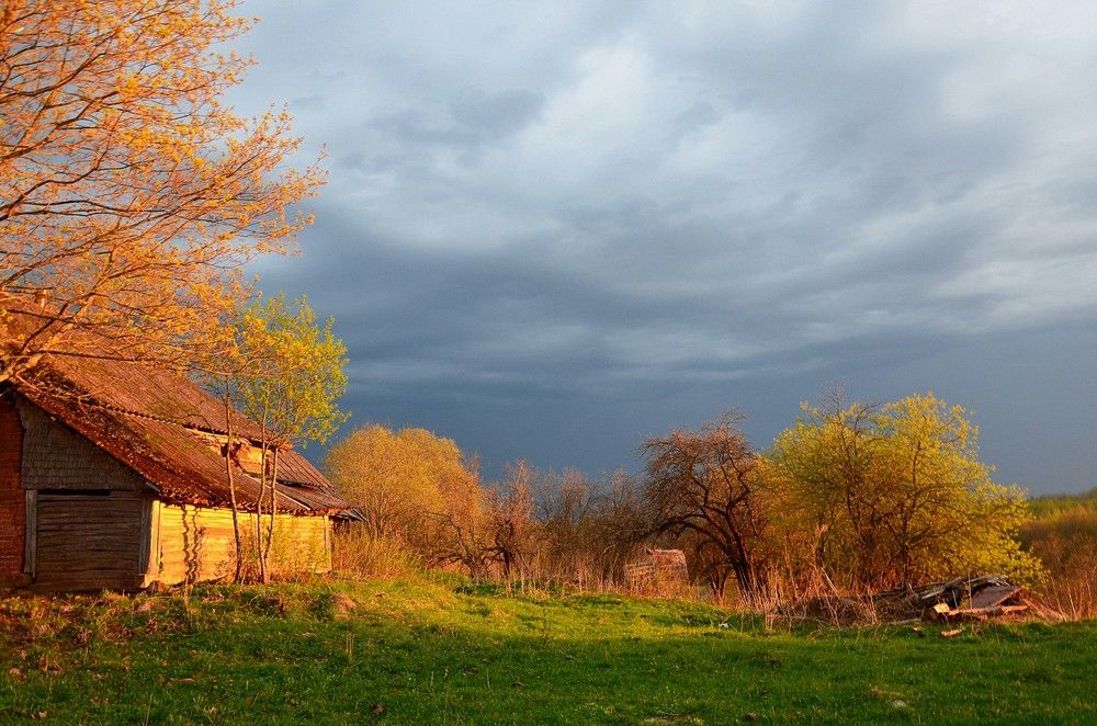 Photograph by Зинаида Фадеева