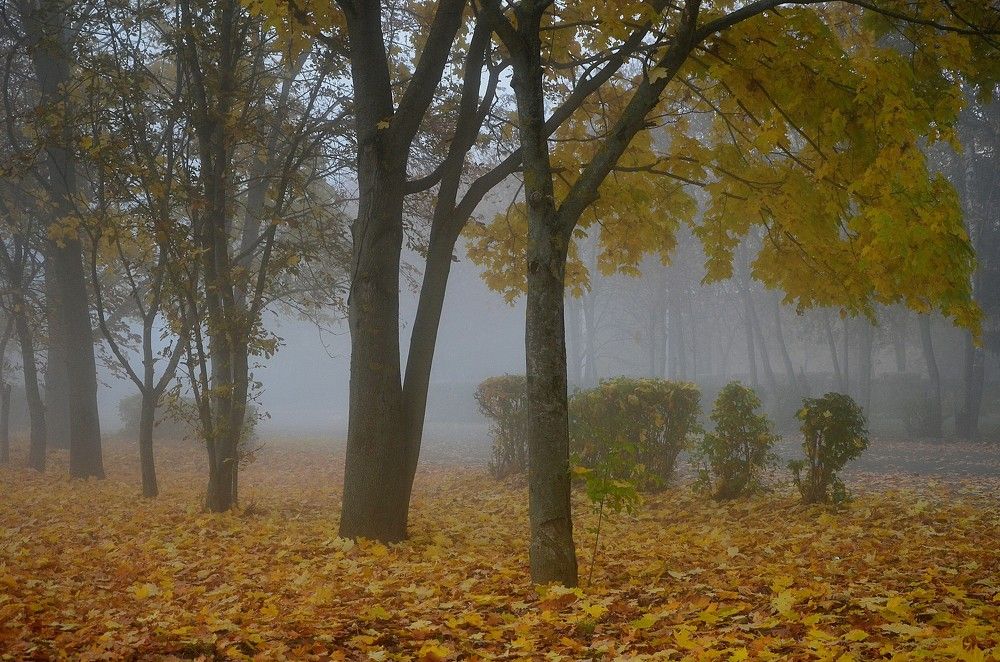 Photograph by Зинаида Фадеева