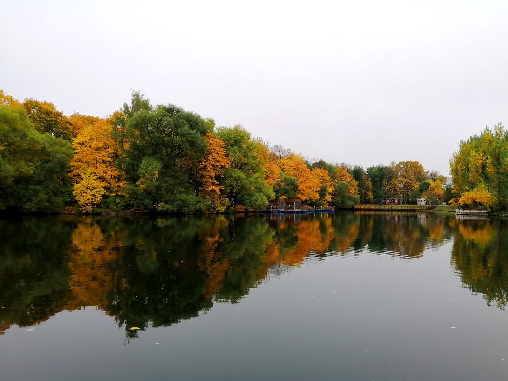 Photograph by Светлана Веселовская