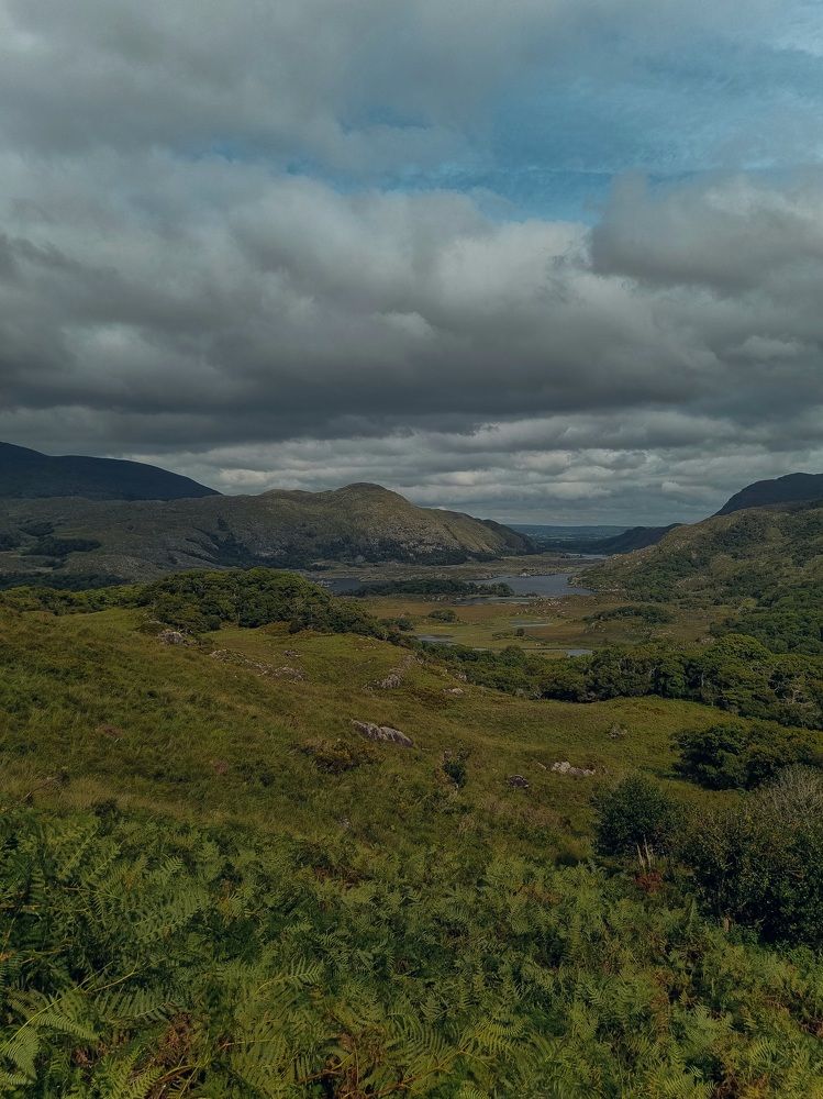 Photograph by Hanna Bourne