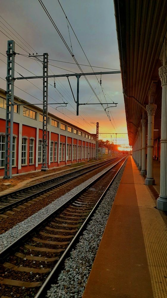 Photograph by Ольга Новоселова