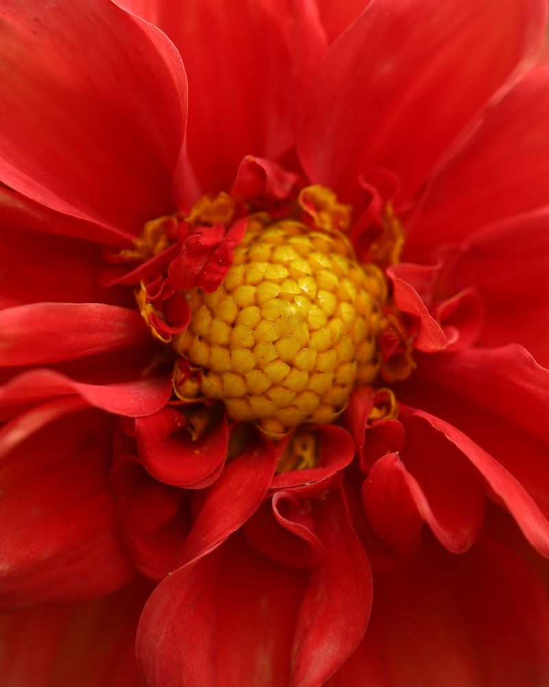 Photograph by Серегина Ирина