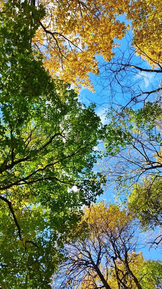 Photograph by Марина