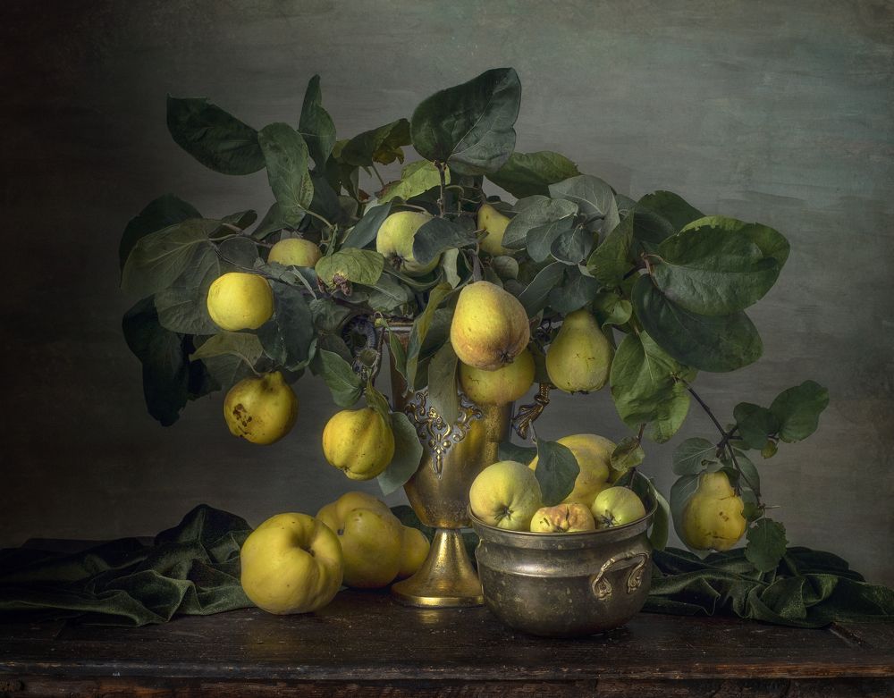 Still life with golden quince
