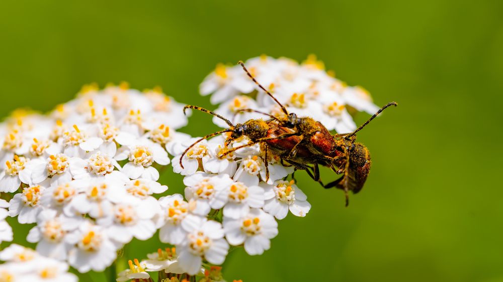 Photograph by Юрий Бичеров