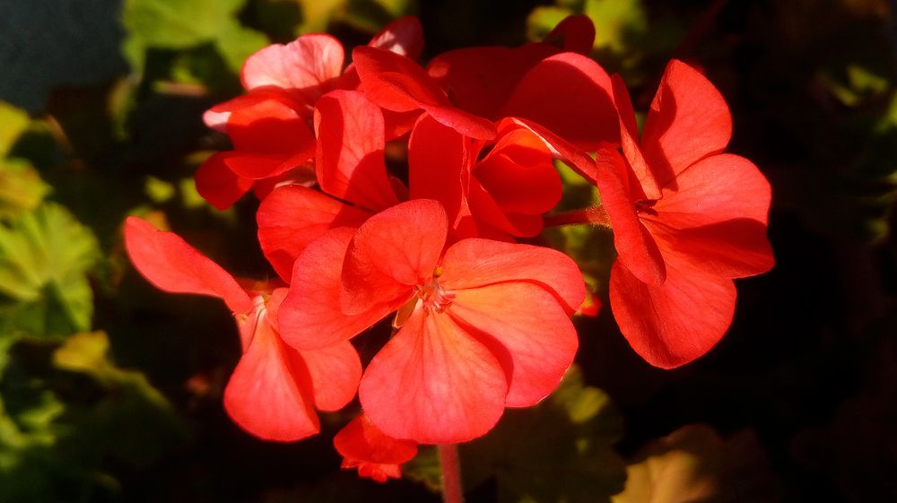 Photograph by Jasna Dragun