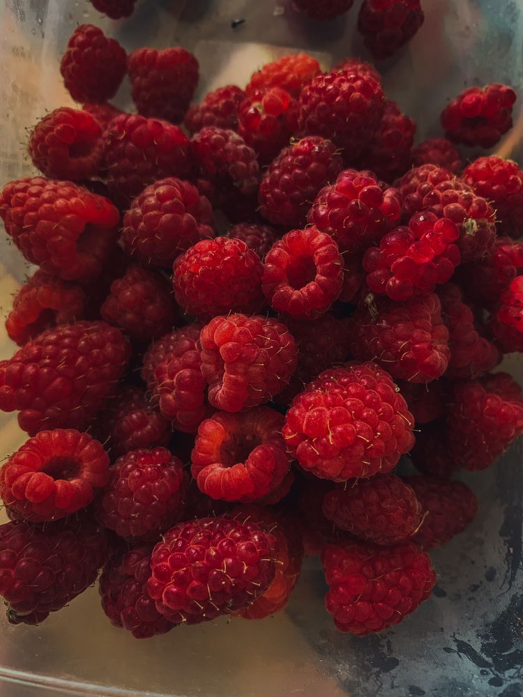 Photograph by Юлия Чиклеева