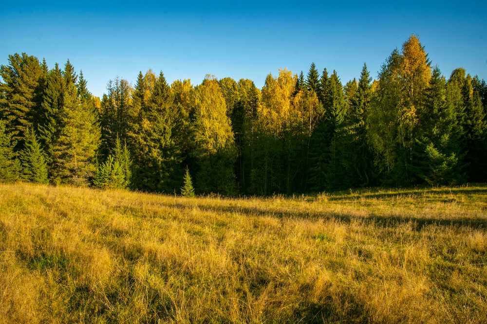 Photograph by Максим