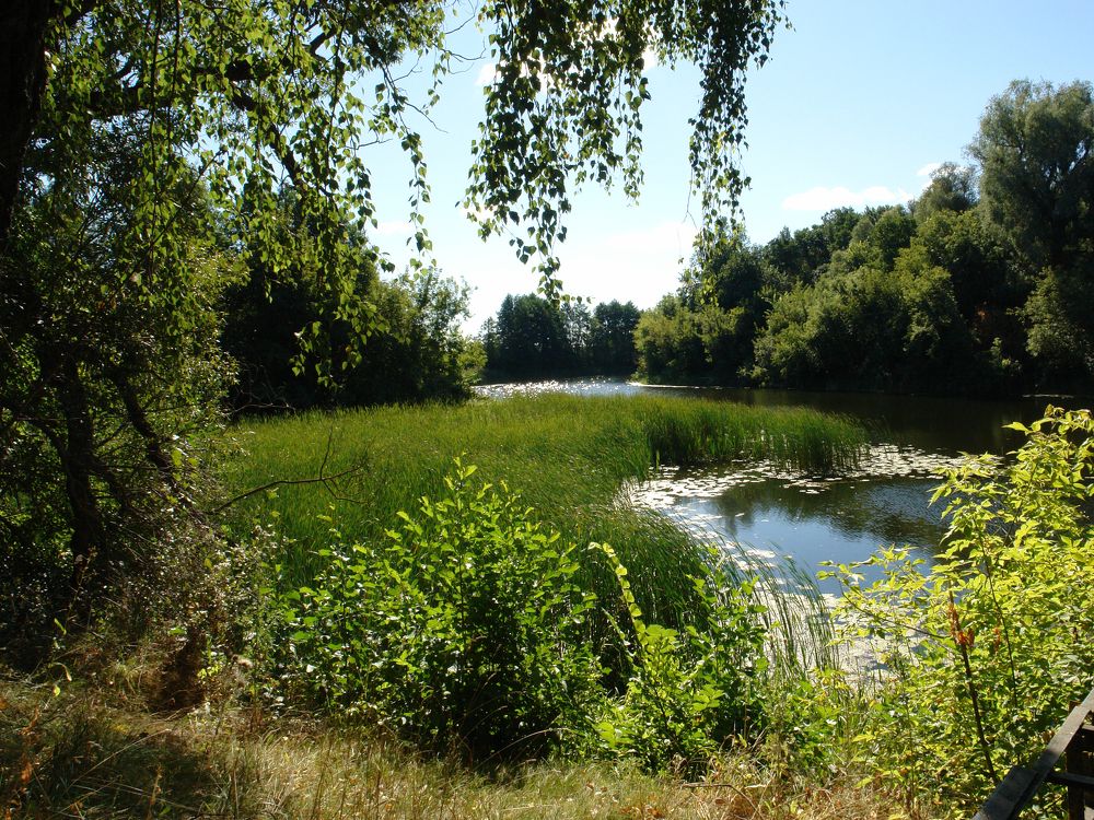 На реке