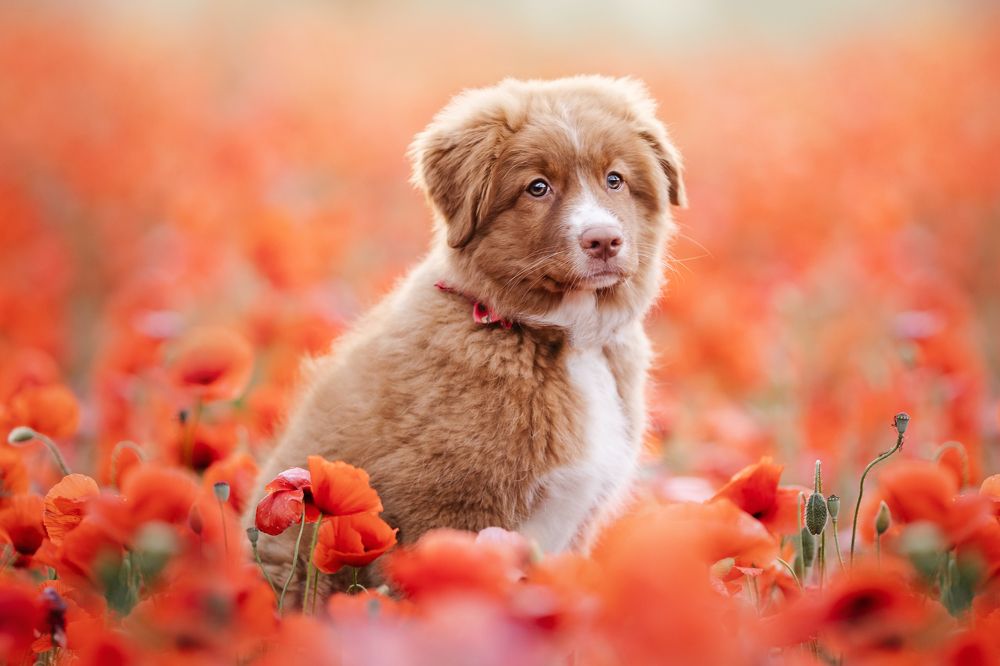 Photograph by Denisa Miazdrová