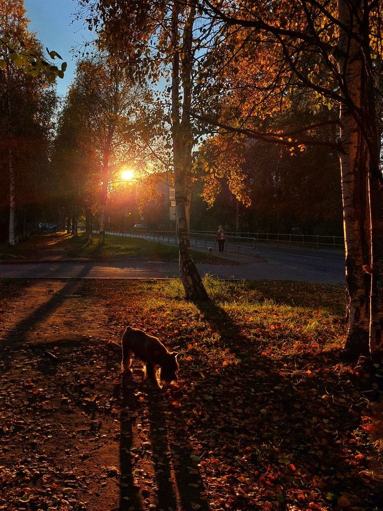 Photograph by Ирина Лучинская