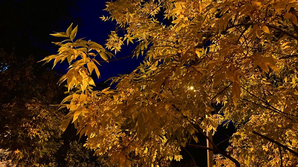 Photograph by Сергей Смирнов