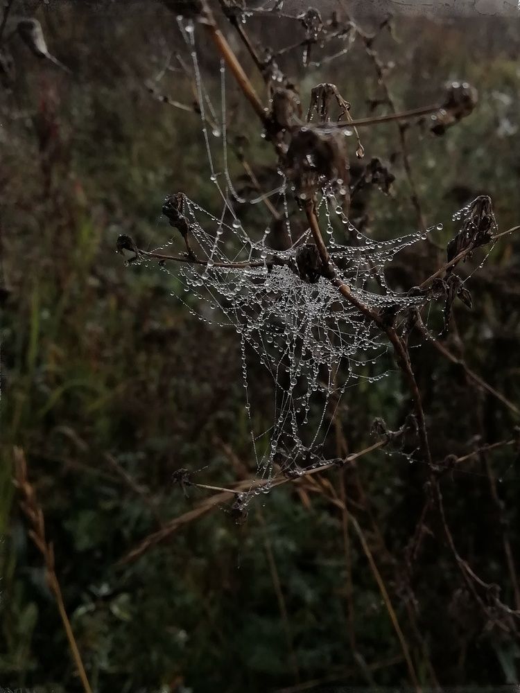 Photograph by Екатерина Чижевская