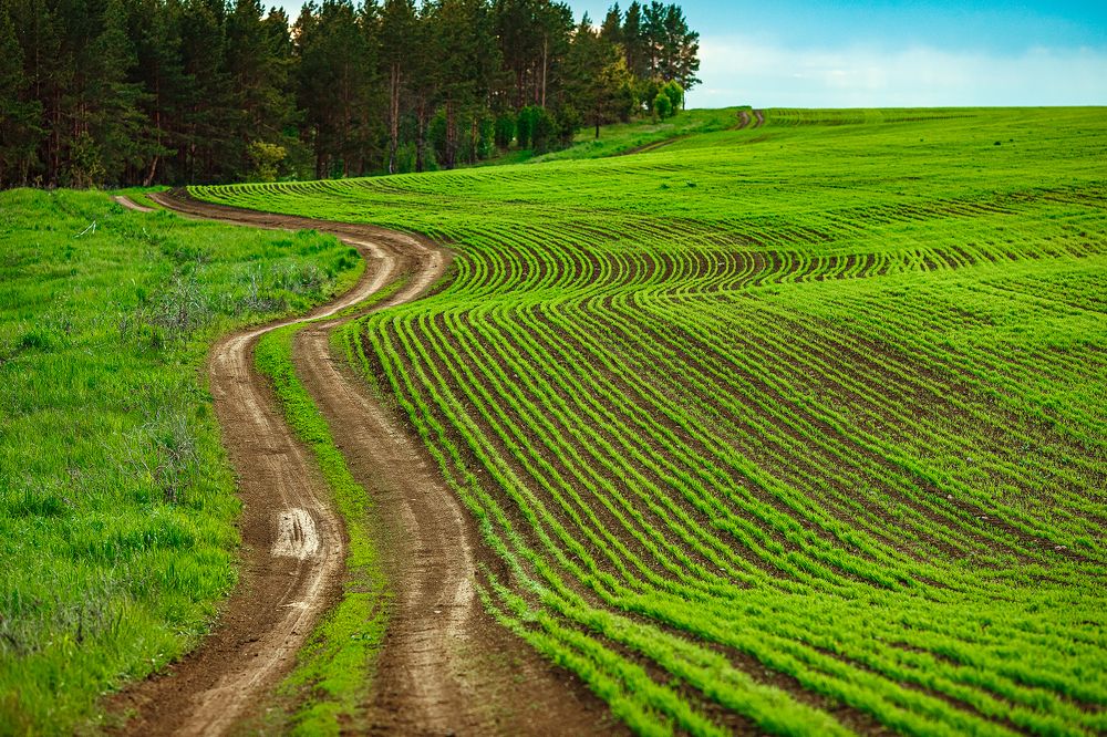 Фотография автора Чумаков Павел