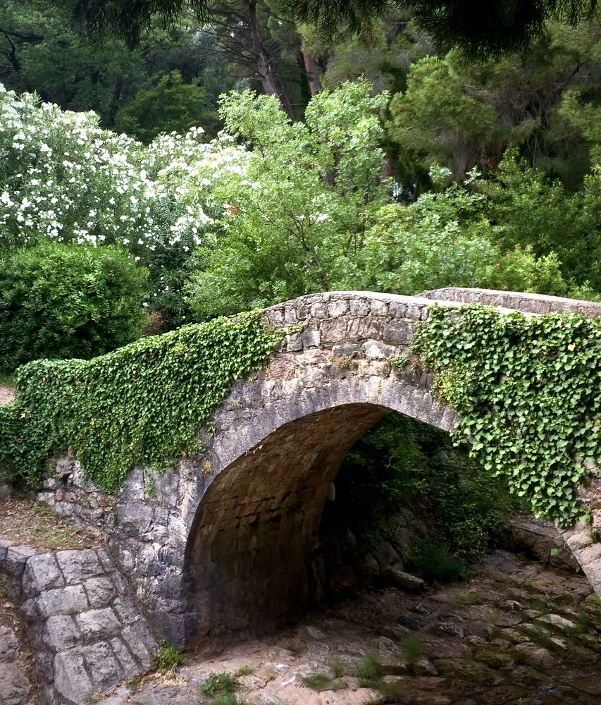 Photograph by Юлия