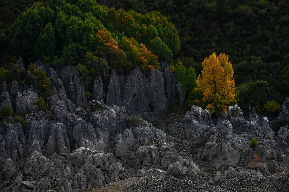 Photograph by Наталья Пирогова