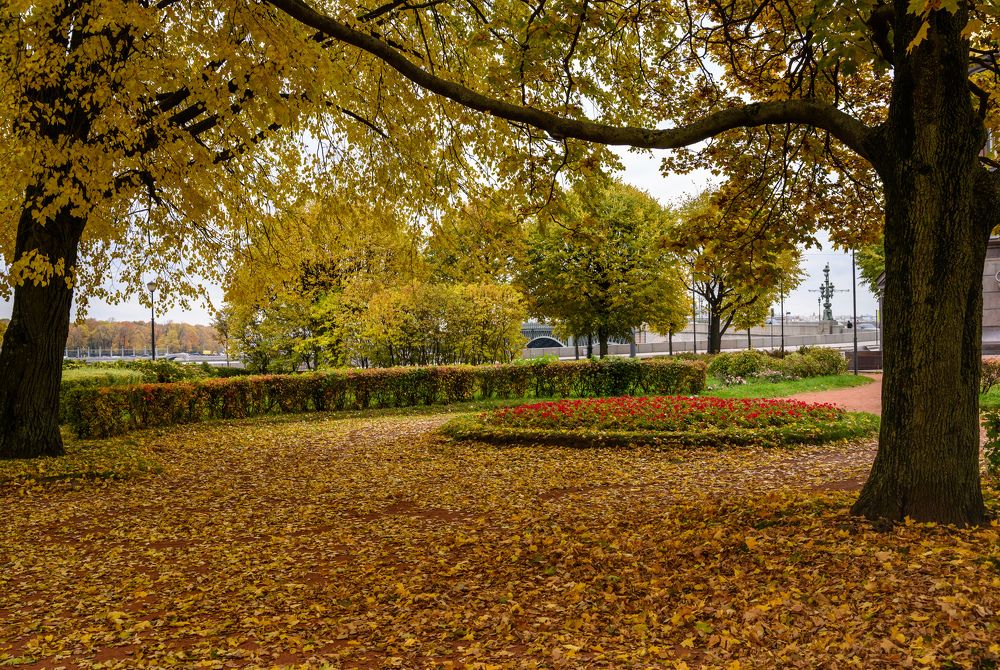 Photograph by Константин