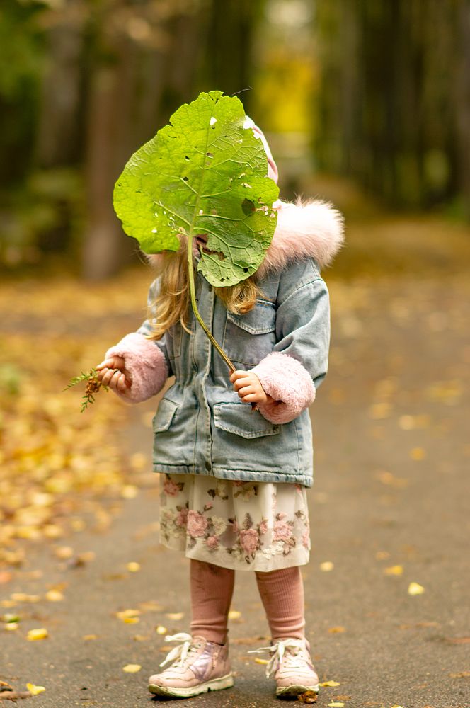 Фотография автора Николай Нестеренко